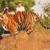 Tiger-and-taj-Tours-gallery-image-3